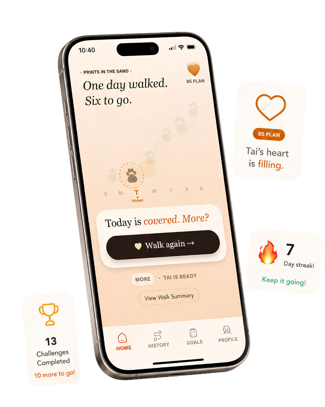 WalkBuddy home screen with daily plan and streak cards