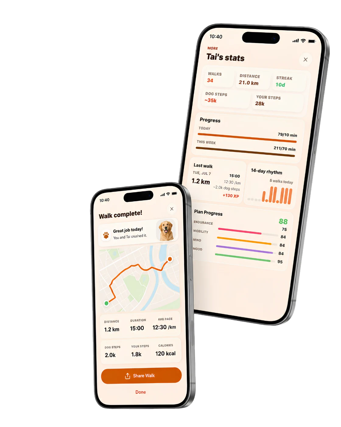 GetWalkBuddy stats and shareable walk summary card