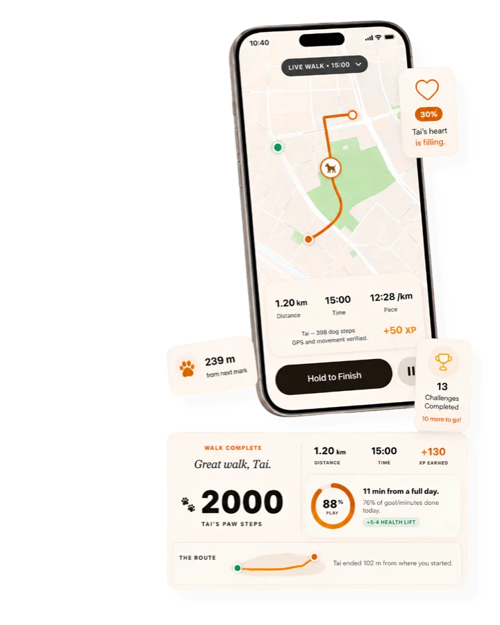 GetWalkBuddy live walk with route map, pace and distance