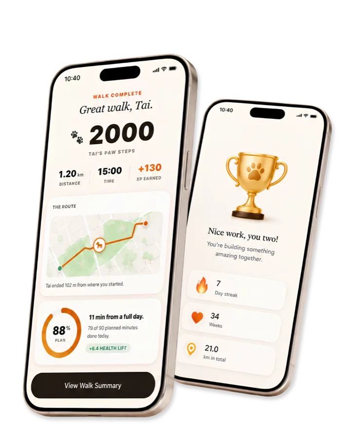 GetWalkBuddy walk complete screen with paw steps and rewards