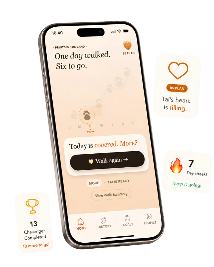 GetWalkBuddy home screen with daily plan, streak and challenge cards