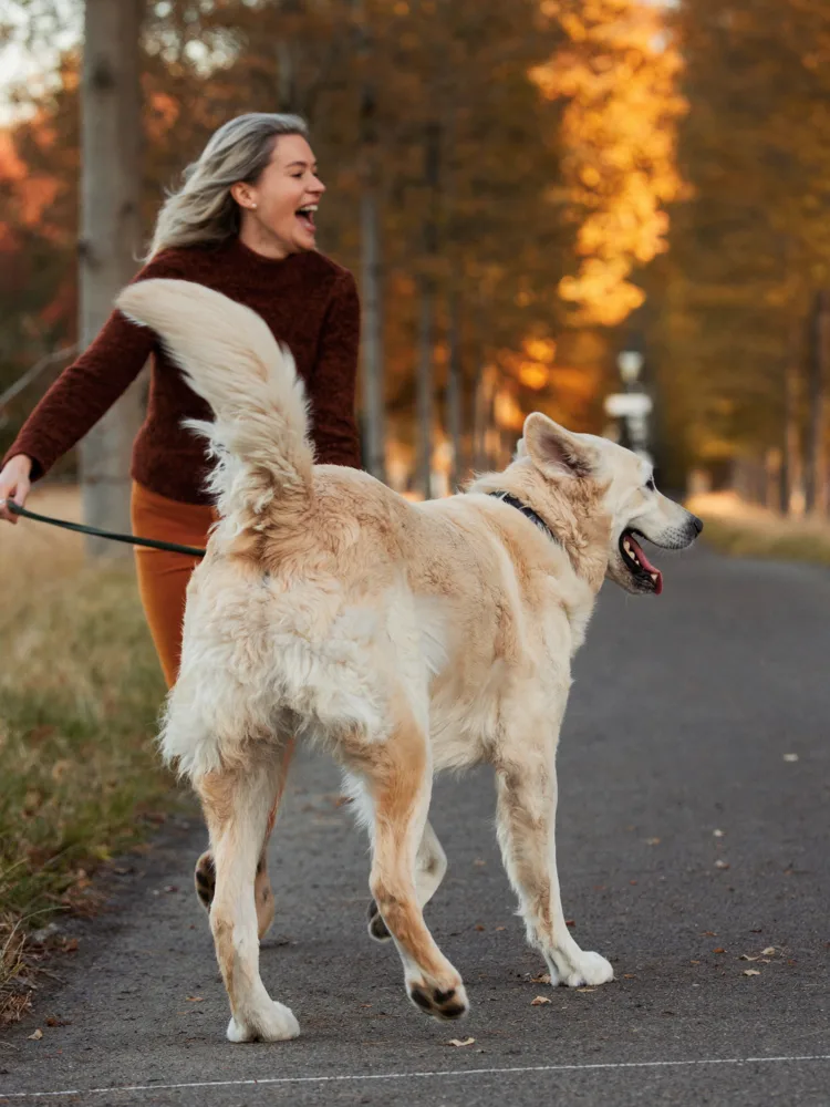 Woman laughing as her senior golden retriever trots ahead on a path